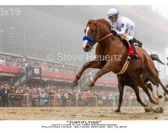 Justiflying - Justify jumps in the 143rd Preakness Stakes