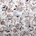 Floral Print Lycra/Spandex 4 way stretch Matt Finish Fabric