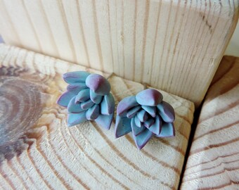 Mint succulent earrings, Polymer clay earrings, Cactus earrings, Succulent jewelry, Polymer clay jewelry, Plant earrings post,