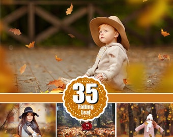 35 falling leaves Overlays, Photoshop Overlays, Photo Prop, Autumn texture, fall leaves, realistic, natural look, png file