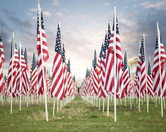 American Flag Background
