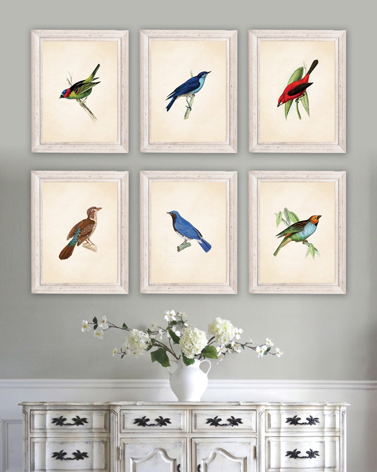 dining room artwork prints. audubon bird prints. art. print. dining room decor. living art kitchen. farmhouse. ns791 artwork prints