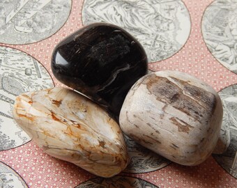 Genuine PETRIFIED WOOD Tumbled Specimen Stone - Your Choice! - Tumbled Petrified Wood - Metaphysical Crystals - Reiki - Gemstone Collections