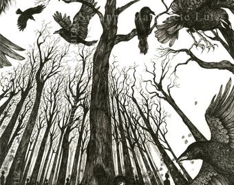 Crows · Art Print · 10cm x 14cm · Print on Paper · Framed ready for hanging · Wallart · gift · present · Artprint · Illustration · Art · ink