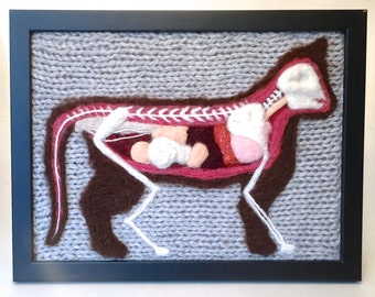 Feline Anatomical Model: A Study in Wool