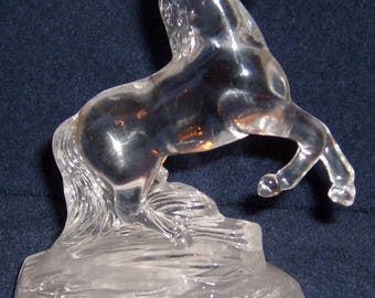 Crystal Stallion from Cristal D'Arques