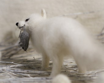 Polar fox Arctic fox white fox cute plush gift home decor fluffy fox doll miniature figurine gift for her