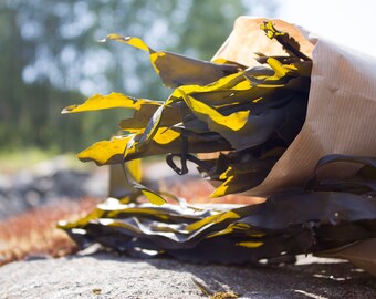 Wild handpicked sundried KELP / KOMBU aka lot. laminaria digitata - Genuine - 50g