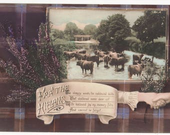 Highland Rinder, Vintage Real Photo Postkarte, Fra' der HIELANS, Tartan, Heather, Hände umklammern, EAS, c1910