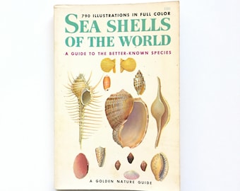 Golden Nature Guide- Seashells of the World / Vintage Golden Guide / Book on Shells / Vintage Field Guide / Homeschool Book