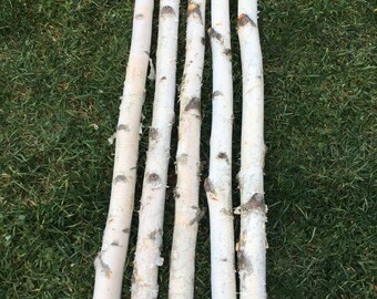 Five White Birch Poles 4 ft