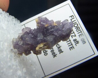 Purple Fluorite Colorado crystal cluster cube USA mineral specimen - perky box mount - rare cripple creek on quartz - display box M20FL