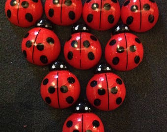 Resin Flatback Ladybird Embellishments 10 pcs