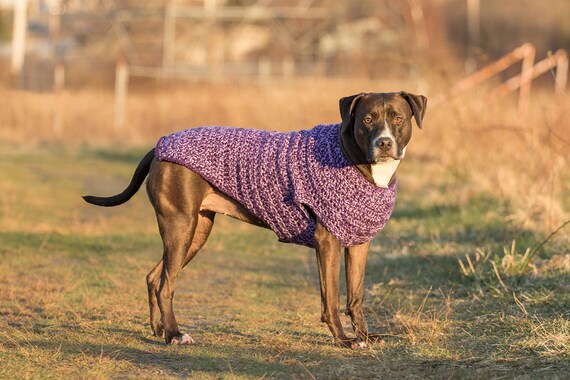 Purple Crochet Dog Sweater