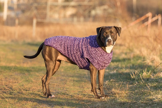 Purple Crochet Dog Sweater