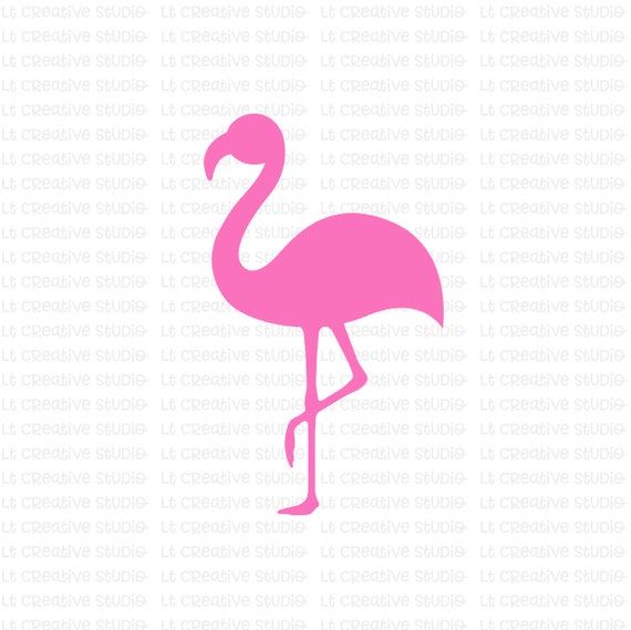 Flamingo SVG Flamingo Silhouettet Zoo SVG Animal Svg Beach