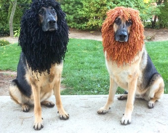 MEDIUM-Dog Lion Mane Halloween Costume