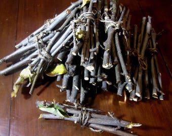 Guinea Pig | Guinea Pig Treats | Rabbit Treats | Apple Branches | Organic Pet Treats | Good for your Pig's Teeth