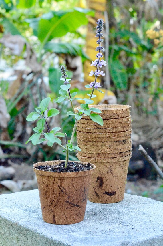 12 Pack EcoFriendly Coconut Fiber Pots 4 Round