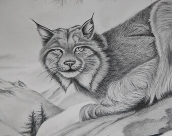 Winter Lynx