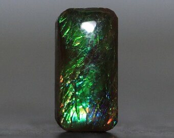 Ammolite Gemstone Fossil Setting Stone (V4298)