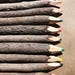 Rustic Twigs Colored Pencil Set - Drawing Set - Gift Set - Drawing Supplies - Gifts for Artists - Art Set