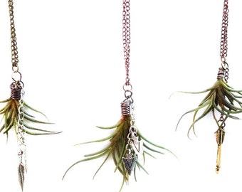 Living Air Plant (Tillandsia) Necklaces with Charms, Crystals or Beads- Funky/ Unique/ Custom Jewelry