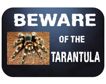 beware of the tarantula brachypelma smithi hamorii spider arachnid door or wall metal sign 210mm x 148mm