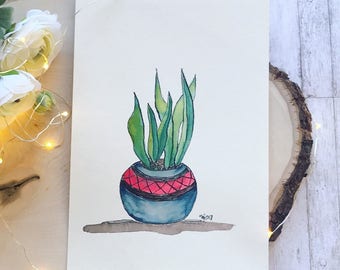 Succulent pen and ink 1