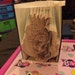 illusion princess old lady 1400pages 23 h &1100 pages 20 h