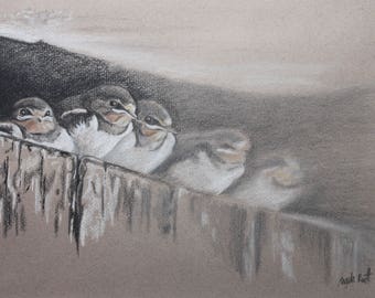 Pastel drawing of swallow fledglings (original)