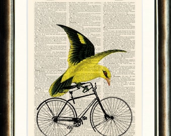 Bird Riding Bicycle - Upcycled vintage book page print on a page from a late 1800s page Buy 3 get 1 FREE