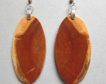 Unique Exotic Wood Earrings Norfolk Island Pine repurposed ecofriendly Handcrafted ExoticWoodJewelryAnd