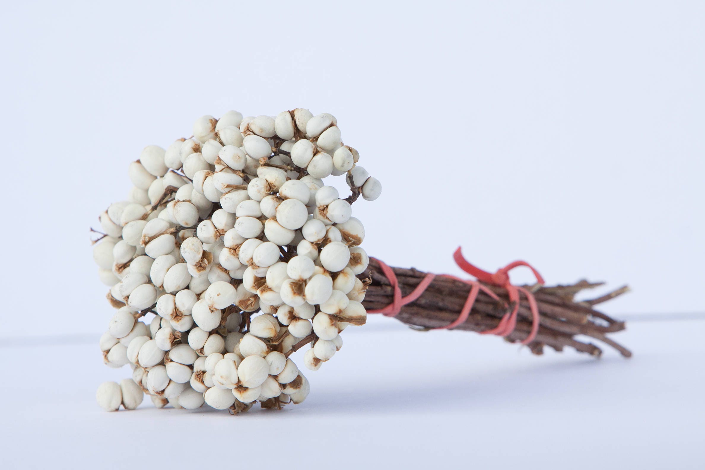 Dried Tallow Berry, Tallow Berry, Tallo Berry, Dried Berries, Gray