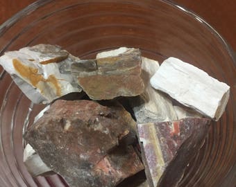 Pocket Stones! Five Pieces Rough Raw Madagascar Petrified Wood Rock Crystal