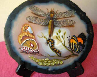 Victorian painting on Sarah. Butterflies, caterpillar, gemstone.