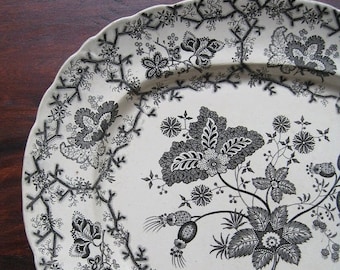 ON SALE Antique Transferware Platter Coral Border Thomas Dimmock Staffordshire England Collectible 1828-1859