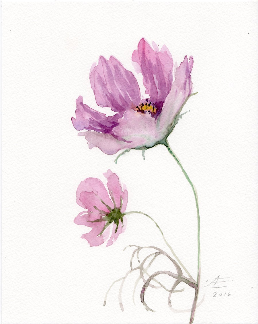 Cosmos Flowers WATERCOLOR original pink flower painting