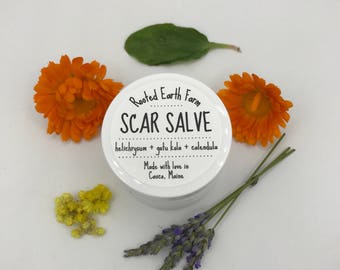 Scar Salve, Acne Scars, Injury Scars, Acne Scar, Scar Treatment, Acne Scar Cream, Scar Cream, Acne Scar Healing, Healing Salve, Tattoo Balm