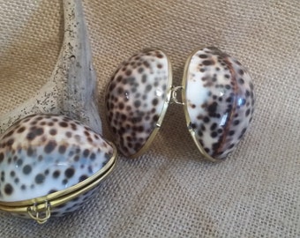 Vintage Inspired Polished Shell Pill Box/ Coin Purse/ Tiger Cowrie Shell/ Beach Wedding Gifts/ Seashell Trinkets/ Jewel Box/ FREE SHIPPING