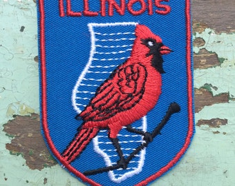 Illinois Vintage Souvenir Travel Patch from Voyager - LAST ONE!