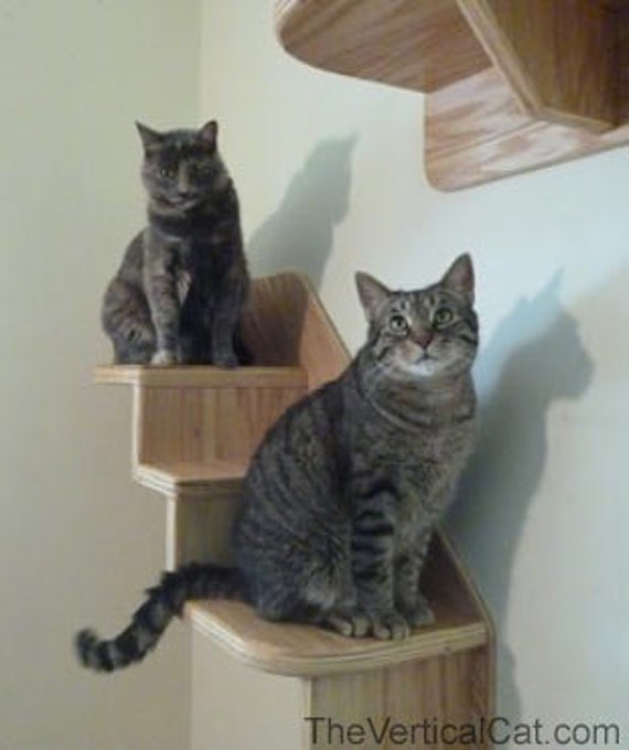Items similar to 3Step Cat Stair from The Vertical Cat on Etsy