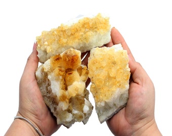 Citrine Cluster - Raw Citrine Cluster Power Stone - A Grade from Brazil LARGE Citrine Crystal (OB10B3)