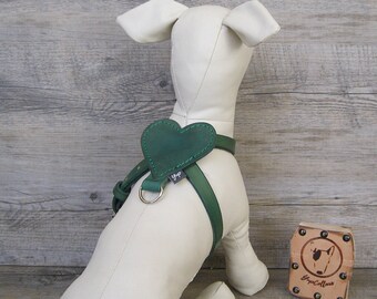 Green Dog Harness, Full Adjustable Leather Dog Harness, Heart Shape Comfort Dog Harness, Dog Accessories, Colorful Dog Harness