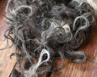 3.5 oz Klövsjö Sheep Rare Breed Raw Fleece