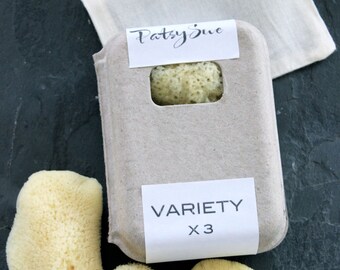 Sea Sponge Tampons | Set of 3 Variety/Mixed Natural Tampons | Natural Menstrual Sponges | Reusable Tampons | Washable Tampon | FREE SHIPPING