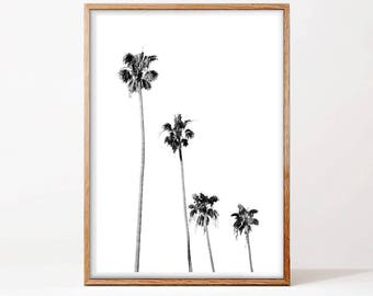 Modern Minimalist Wall Art, Palm Trees Print Black and White, Printable Photography, California Poster Print, Large Poster Download