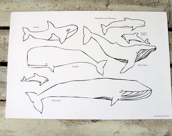 30 paper placemats WHALES to color