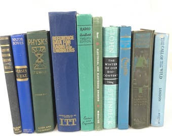 DECORATIVE Eclectic Genre Antiqued Set of Blue Books for Display