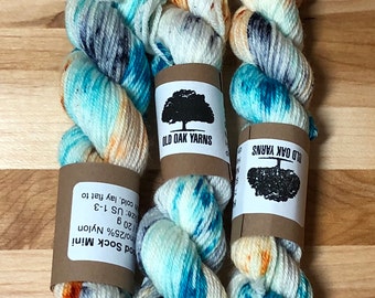 Fibre Friends - Hand Dyed Sock Yarn Mini 75/25 SW Merino/Nylon 20 g / 93 yds